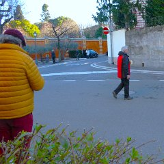 P1170093   Sosta banana a Colà, h. 10.40 .